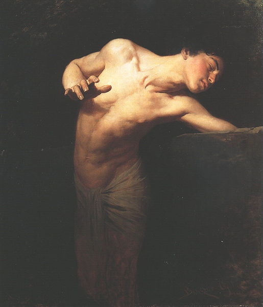 Narcissus